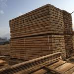 WhatsApp Image 2019-09-16 at 10.53.11